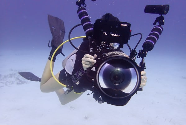 Diver holding a camera underwater