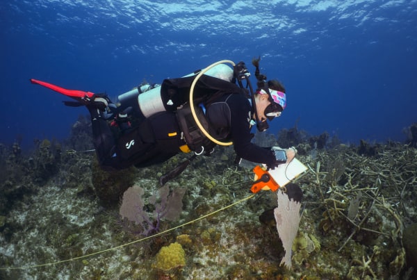 Diver snorkeling underwater