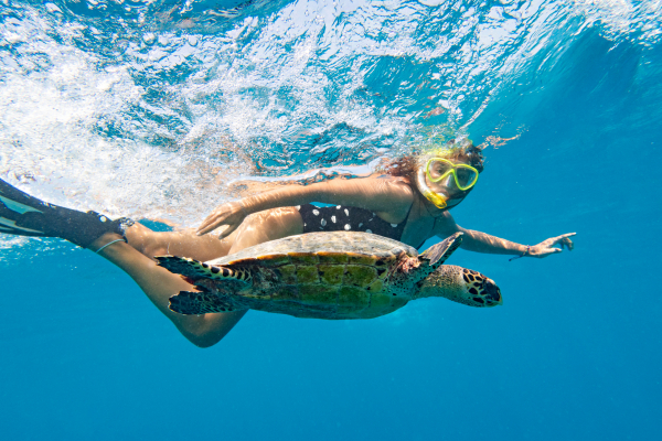 Girl swimming with a turtle