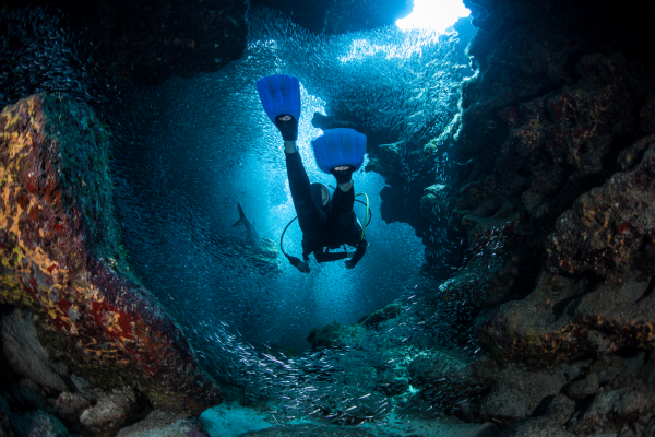 A,Diver,Explores,The,Cracks,,Crevices,And,Holes,In,A