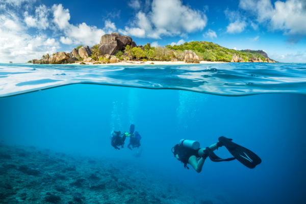 Divers,Below,The,Surface,In,Seychelles,Exploring,Corlas