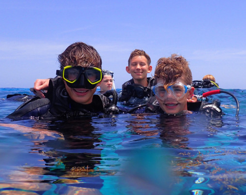 Caribbean Marine Ecology Campers