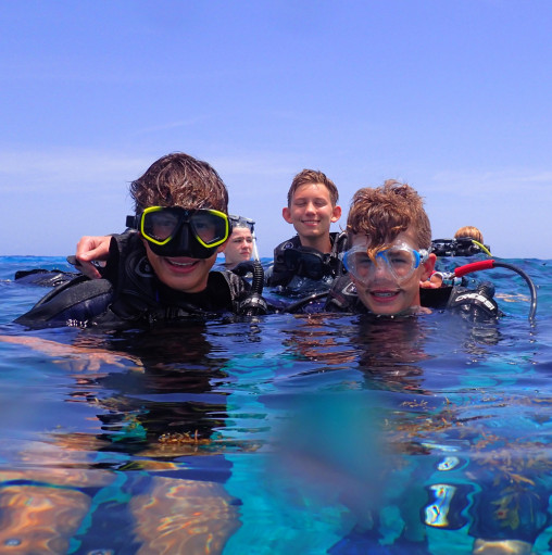 Caribbean Marine Ecology Campers